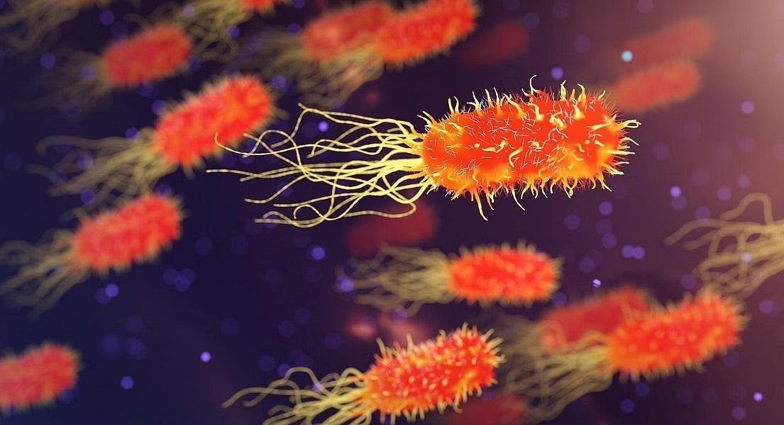 Common Misconceptions About SIBO