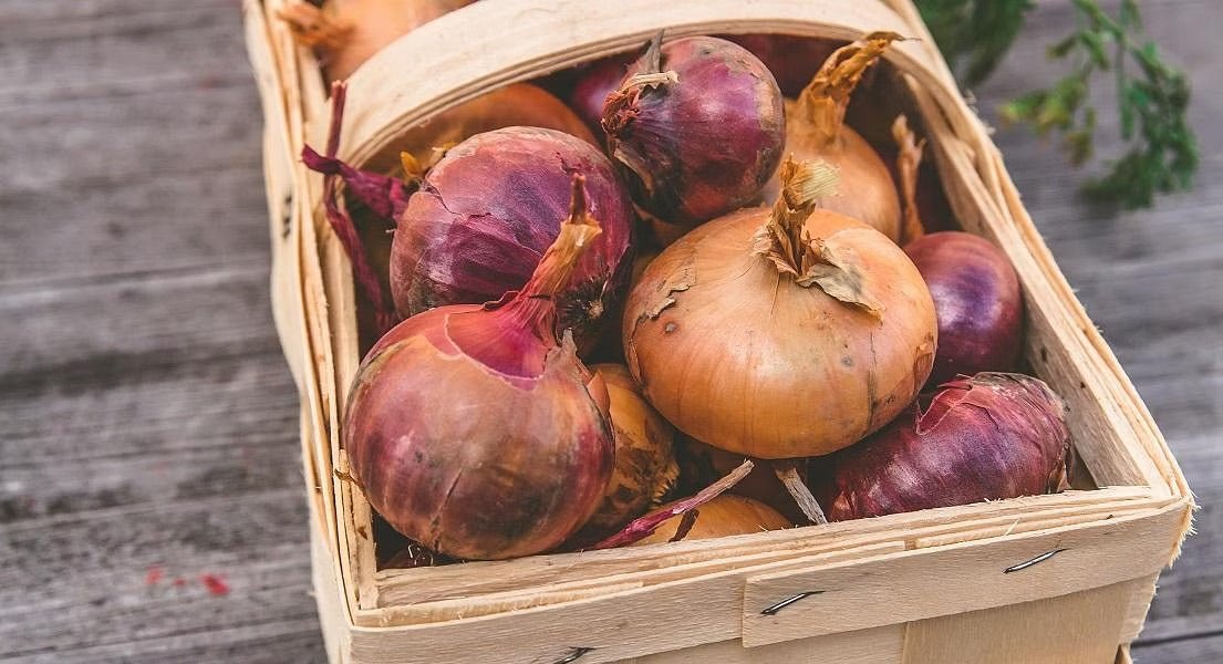 Supporting Immune Health With Quercetin