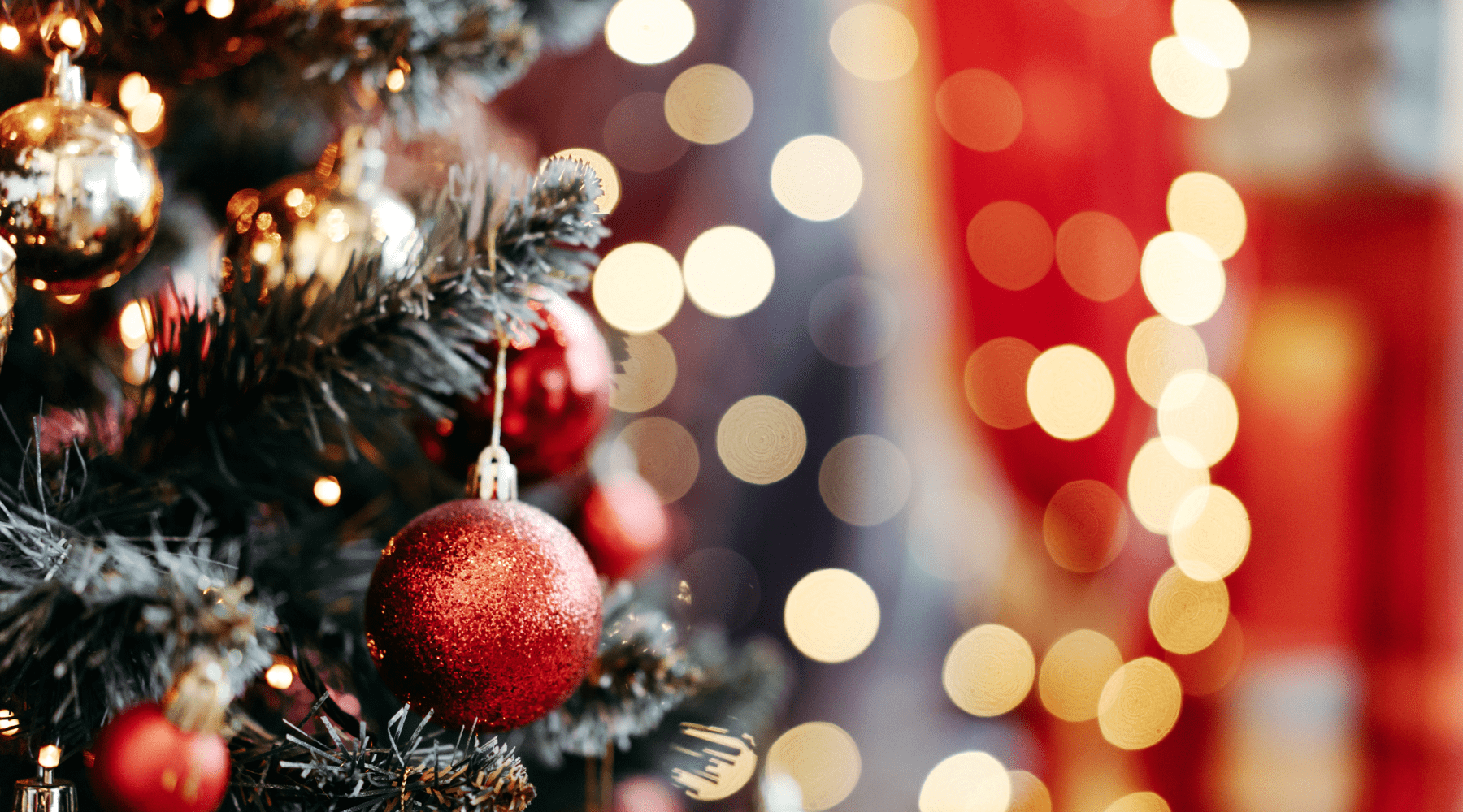 Your Christmas Survival Guide