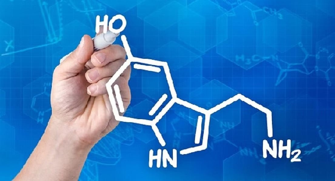 What Does Serotonin Actually Do?